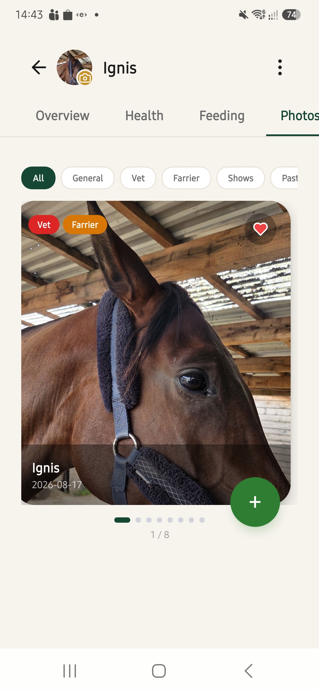 Photo gallery filters